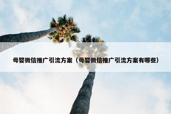 母婴微信推广引流方案（母婴微信推广引流方案有哪些）