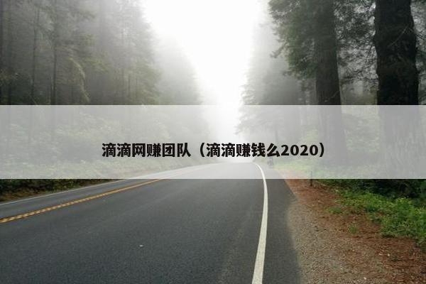 滴滴网赚团队（滴滴赚钱么2020）