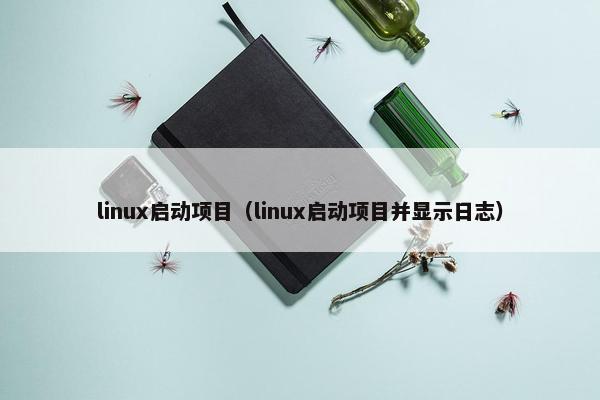 linux启动项目（linux启动项目并显示日志）
