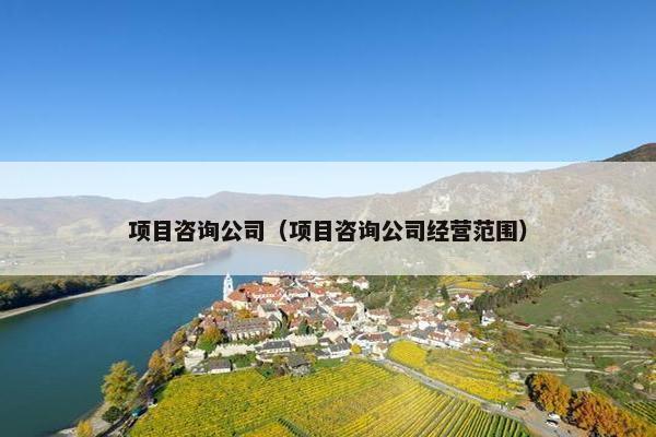 项目咨询公司（项目咨询公司经营范围）