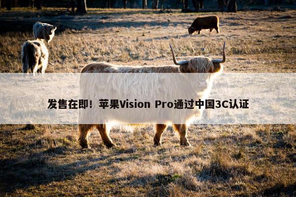 发售在即！苹果Vision Pro通过中国3C认证