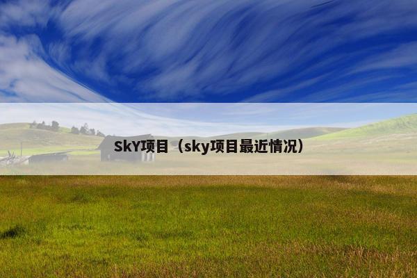 SkY项目（sky项目最近情况）