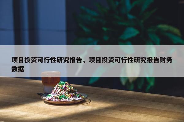 项目投资可行性研究报告，项目投资可行性研究报告财务数据