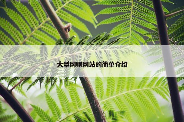 大型网赚网站的简单介绍