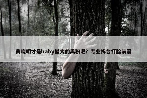 黄晓明才是baby最大的黑粉吧？专业拆台打脸前妻