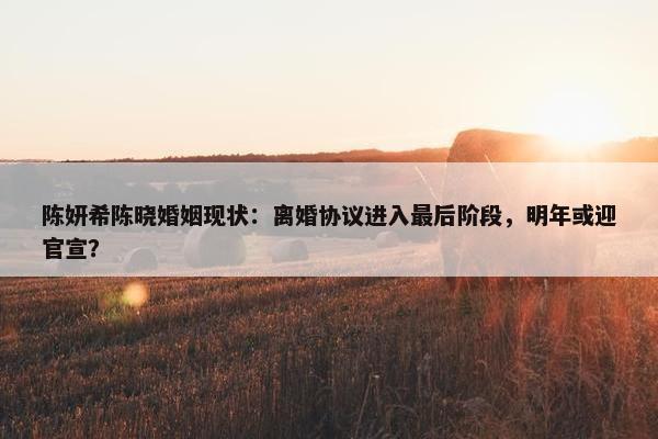 陈妍希陈晓婚姻现状：离婚协议进入最后阶段，明年或迎官宣？